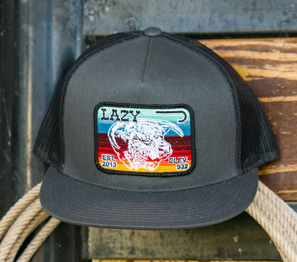 Lazy J Ranch Wear Grey Grey 4